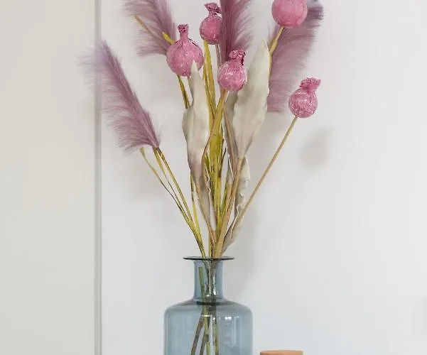 Lejlighed Baranczaka Cozy With Parking In By Renters