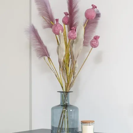 Apartment Baranczaka Cozy With Parking In By Renters